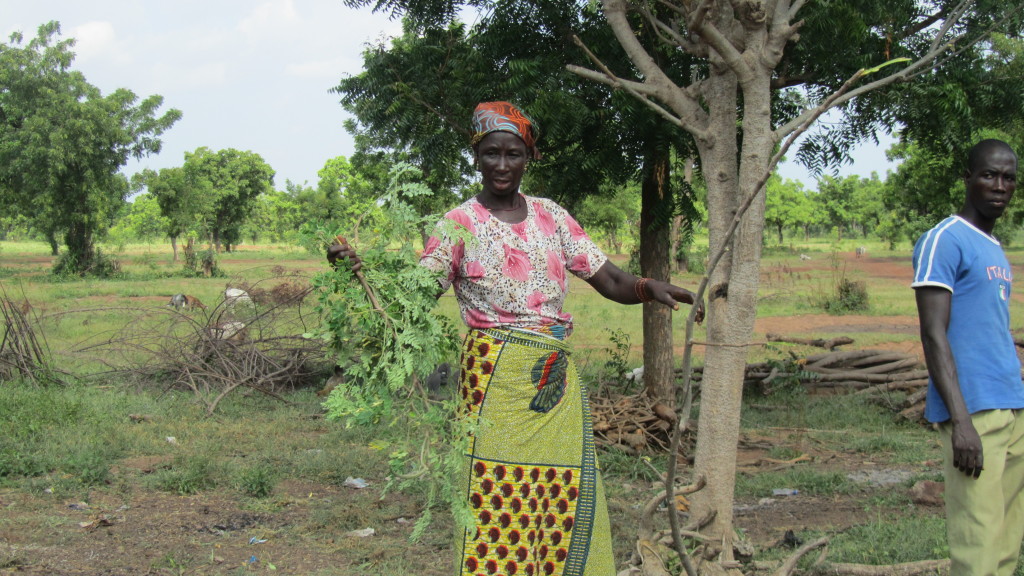 Grandma with moringa tree