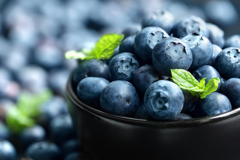 What Antioxidants Do and How Moringa Can Help